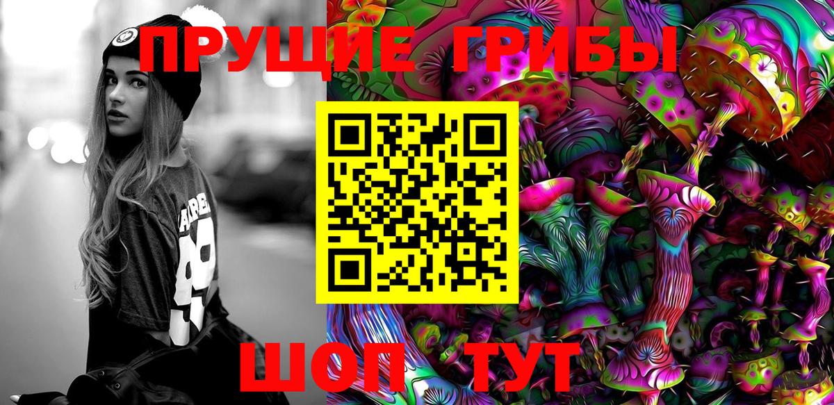 Псилоцибиновые грибы Psilocybe Фрязино