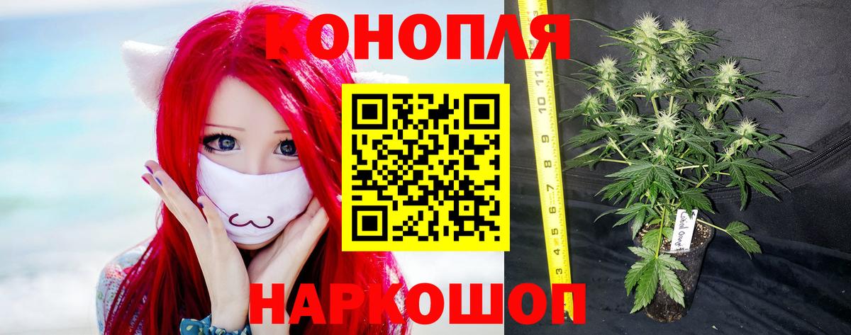 Шишки марихуана MAZAR  Шишки марихуана AK-47  Бошки Шишки AK-47  Марихуана план  Фрязино  Вход с VPN 